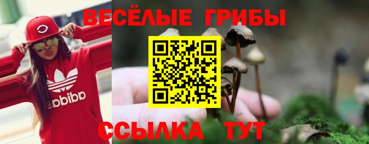 Галлюциногенные грибы Cubensis  Вход с VPN  Хабаровск 